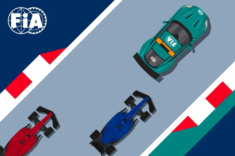 F1 linee guida penalità