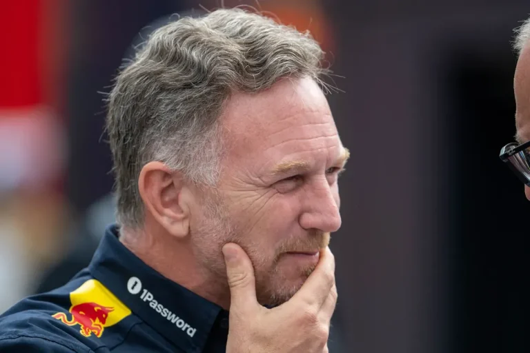 Horner F1