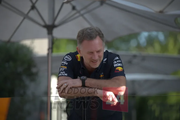 Horner Ferrari